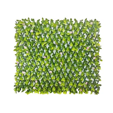 Plant Trellis Outdoor