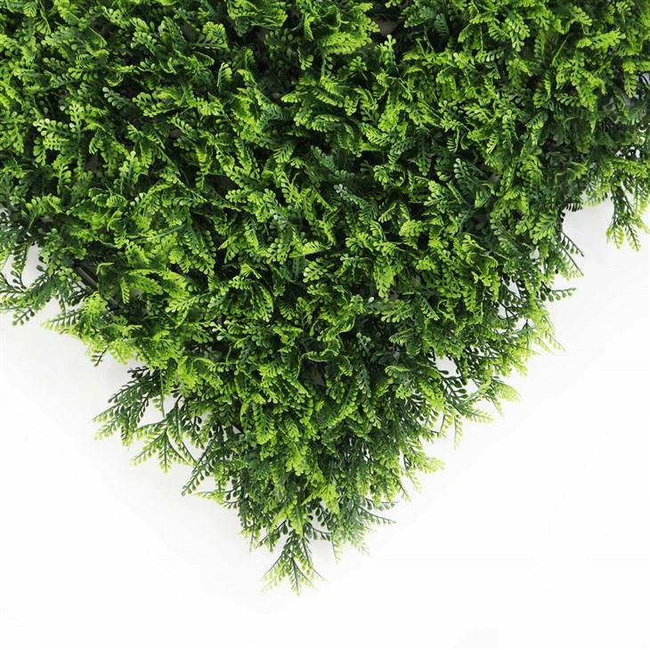 Green Wall Grass
