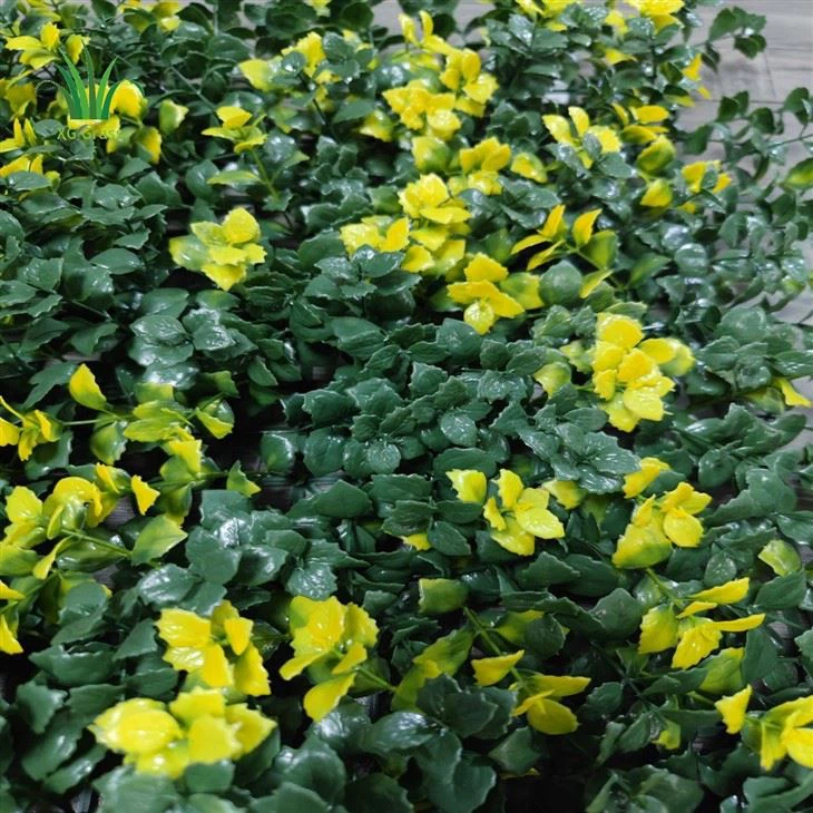 Best Plants For Vertical Garden