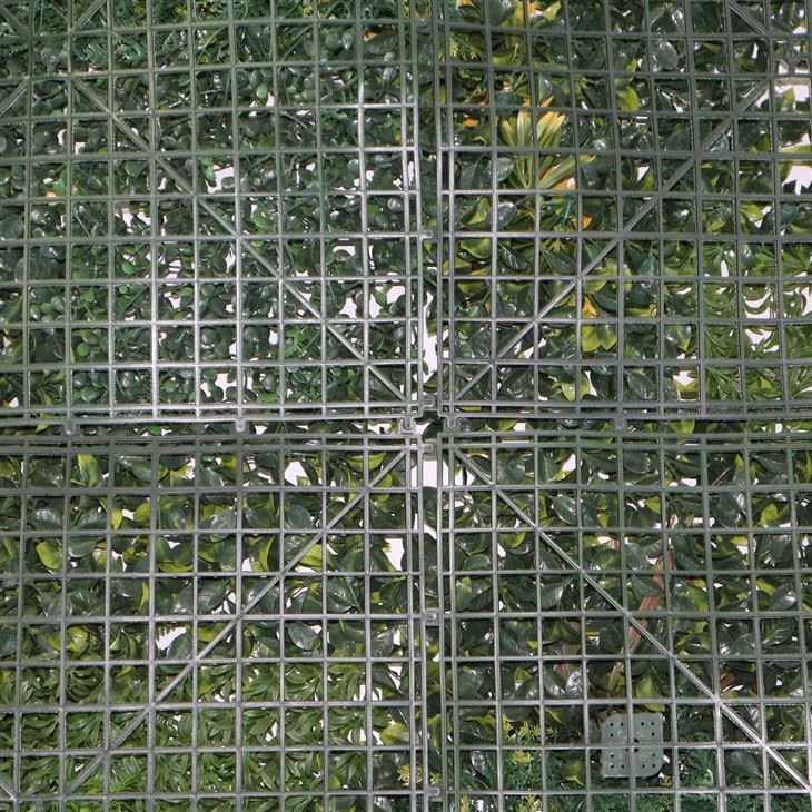 Hanging Wall Garden Indoor