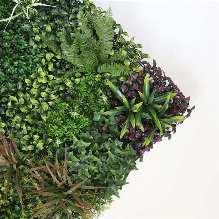 Hanging Wall Garden Indoor