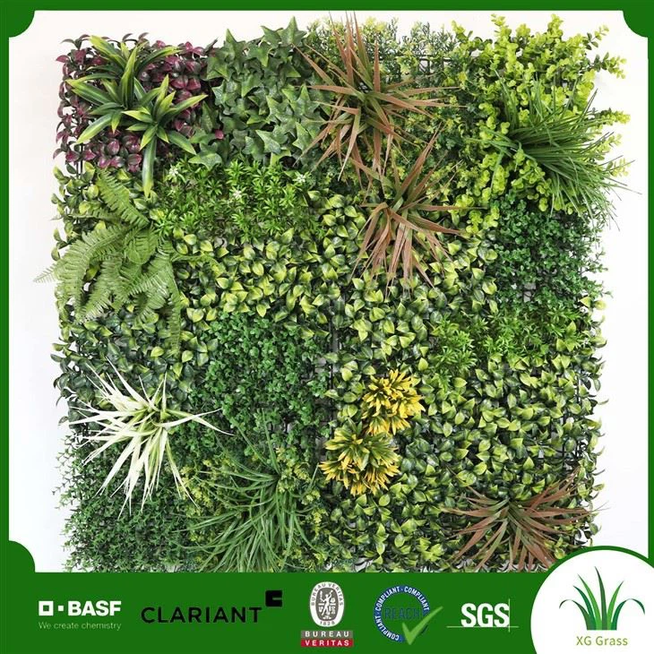 Viseći zid vrt u zatvorenom prostoru