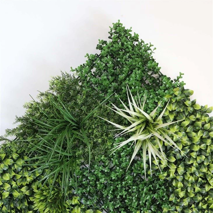 Plant Wall Decoration