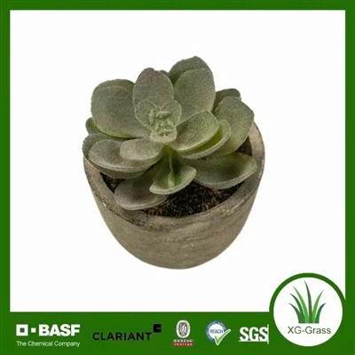 Lifelike Mini Succulent Art