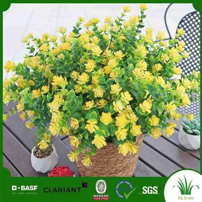 Lažne biljke u mojoj blizini