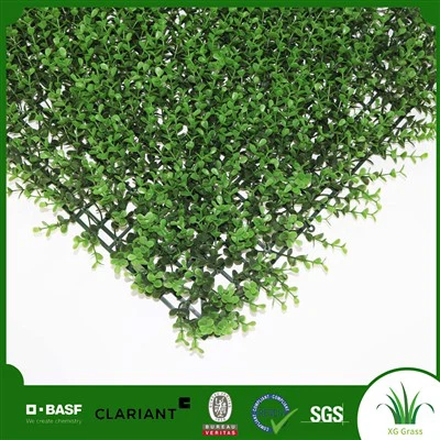 Unutarnji zidni viseći biljni vrt