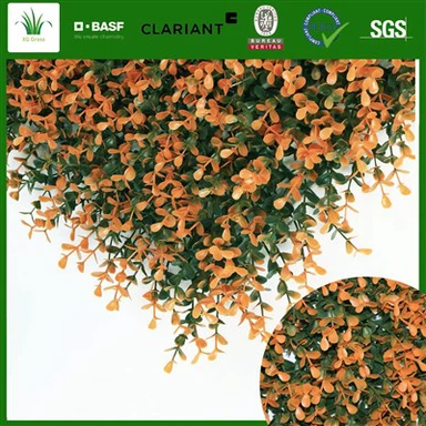 Inside Wall Herb Garden