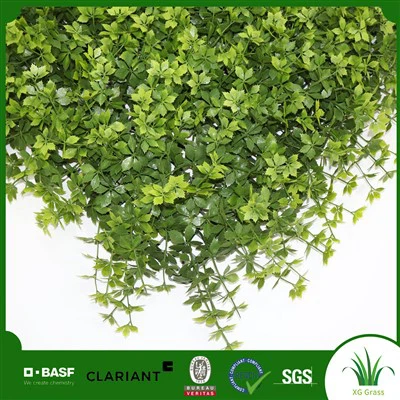 Unutrašnji zid od loze