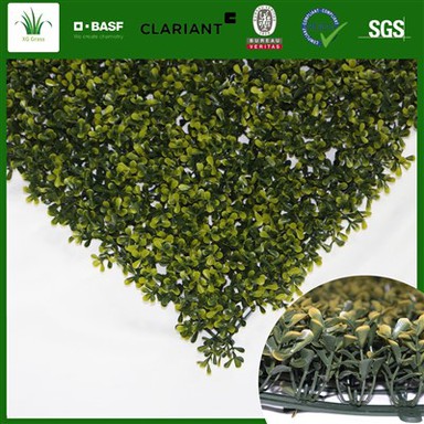 Zidna kuhinja sa živom travom