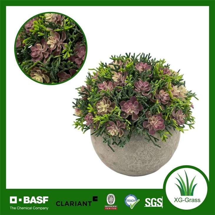 Xingu Realistic Faux Succulent Spherical Plant For Indoor Spaces factory